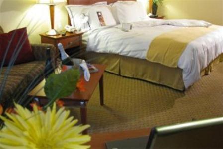 Charleston Airport Hotel ノースチャールストン 部屋 写真