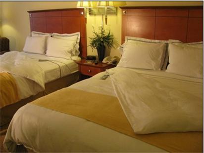 Charleston Airport Hotel ノースチャールストン 部屋 写真